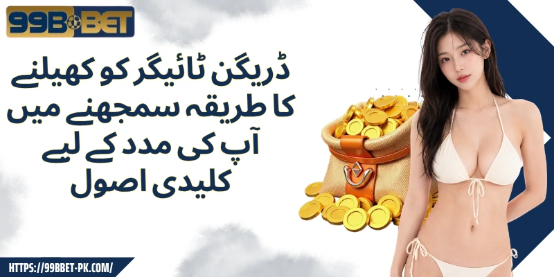 ڈریگن ٹائیگر کو کھیلنے کا طریقہ سمجھنے میں آپ کی مدد کے لیے کلیدی اصول